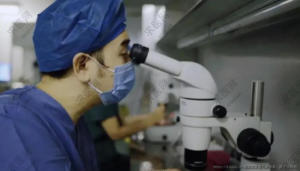 湖北试管婴儿费用高，孩子没缺陷