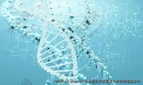 扬州第三代试管婴儿价格明细是多少