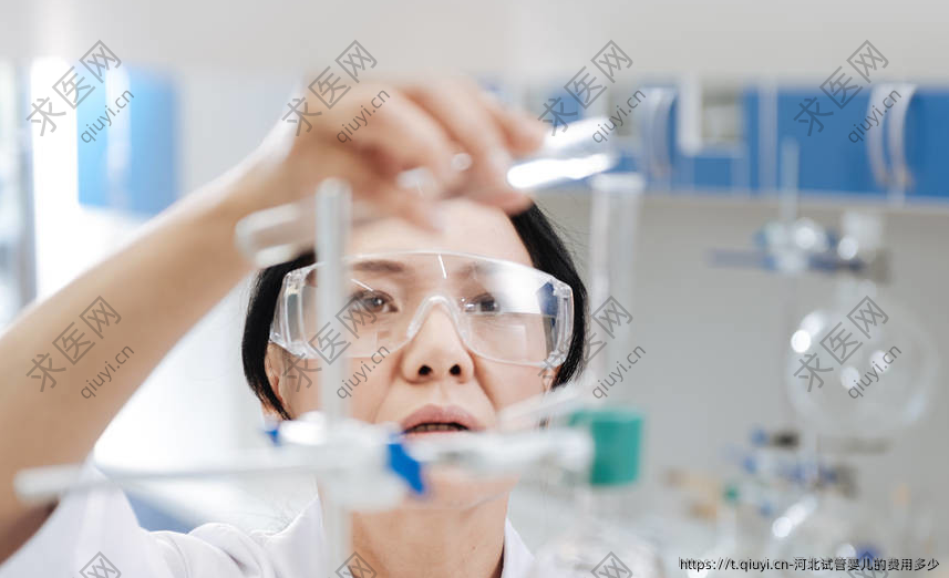河北试管婴儿的费用多少