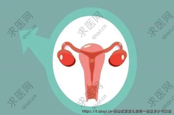 保山试管婴儿费用一般是多少可以做