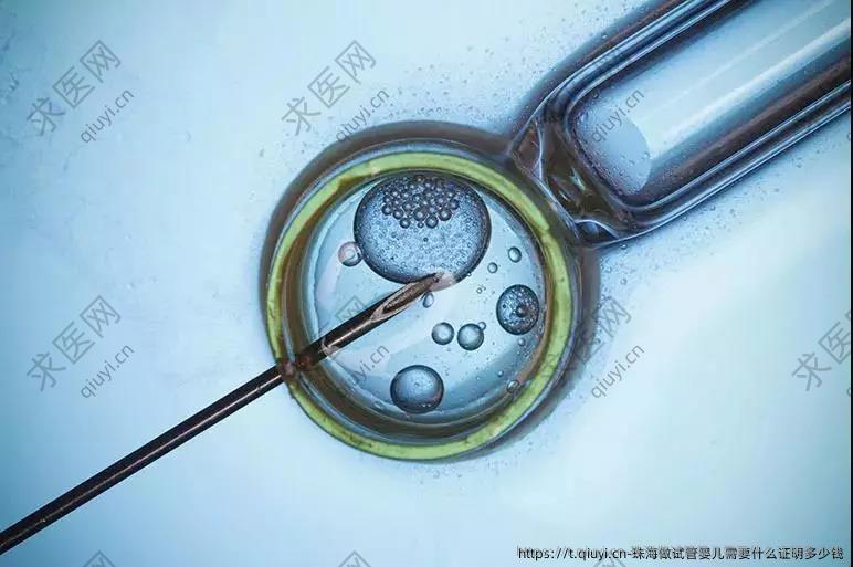 珠海做试管婴儿需要什么证明多少钱