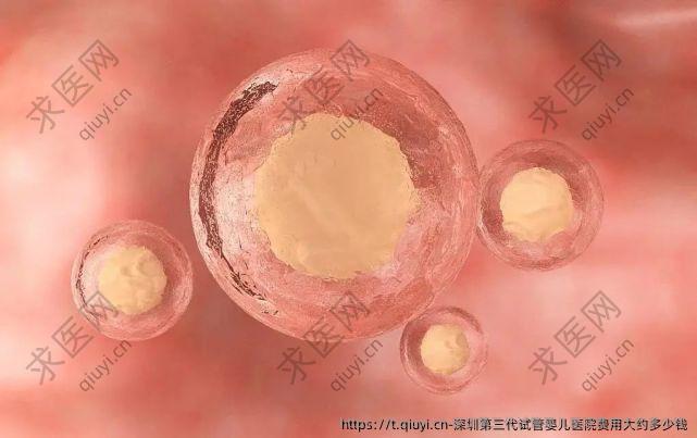 深圳第三代试管婴儿医院费用大约多少钱