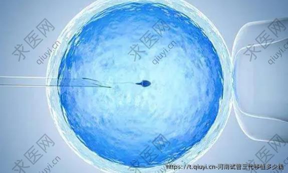 河南试管三代移植多少钱