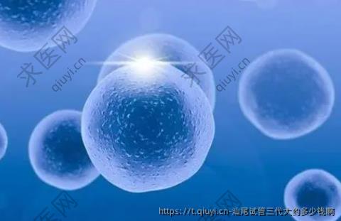汕尾试管三代大约多少钱啊