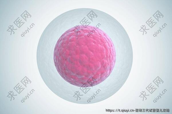 昆明三代试管婴儿攻略