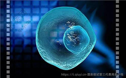 酒泉做试管三代费用多少钱