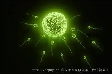 宜宾哪家医院做第三代试管婴儿