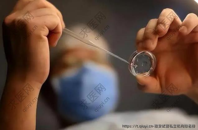 雅安试管私立机构排名榜