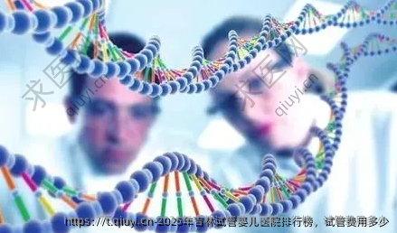 2025年吉林试管婴儿医院排行榜，试管费用多少