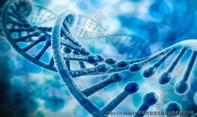 淮南试管婴儿医院详细费用多少钱