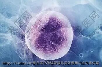 商丘第三代试管婴儿医院费用与成功率详解