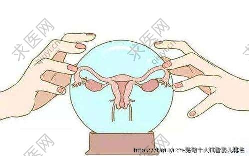 芜湖十大试管婴儿排名