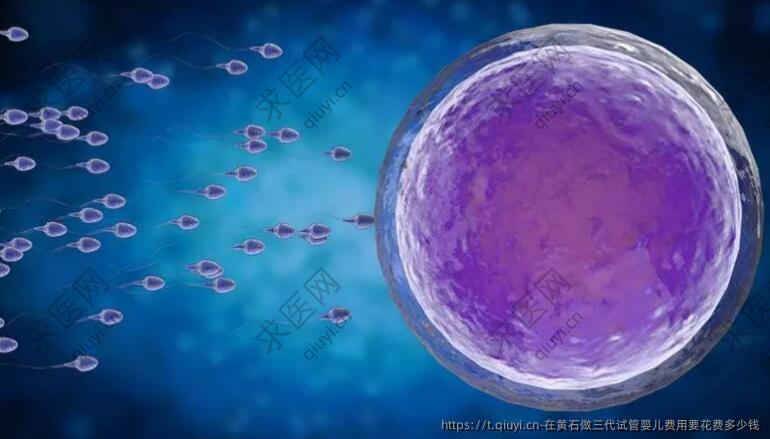 在黄石做三代试管婴儿费用要花费多少钱