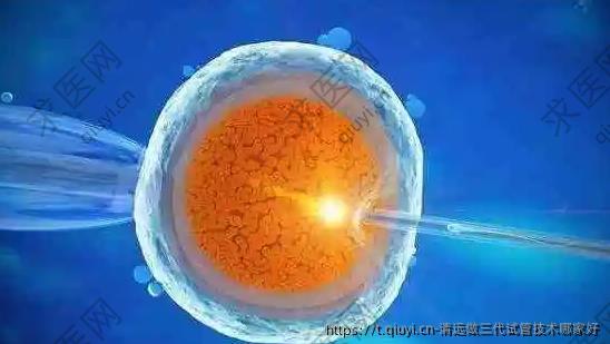 清远做三代试管技术哪家好