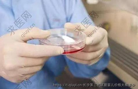长沙第三代试管婴儿价格大概多少