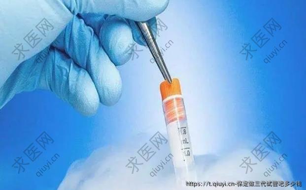 保定做三代试管吧多少钱