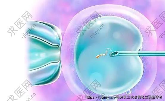 梧州第三代试管私立医院排名
