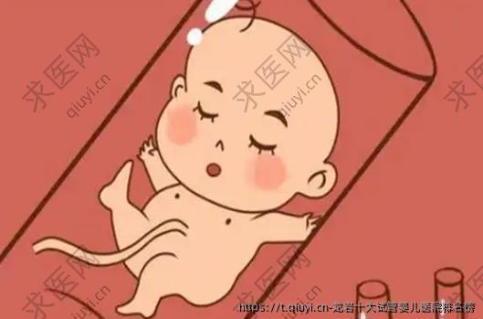 龙岩十大试管婴儿医院排名榜