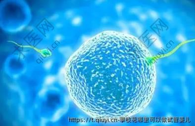 攀枝花哪里可以做试管婴儿