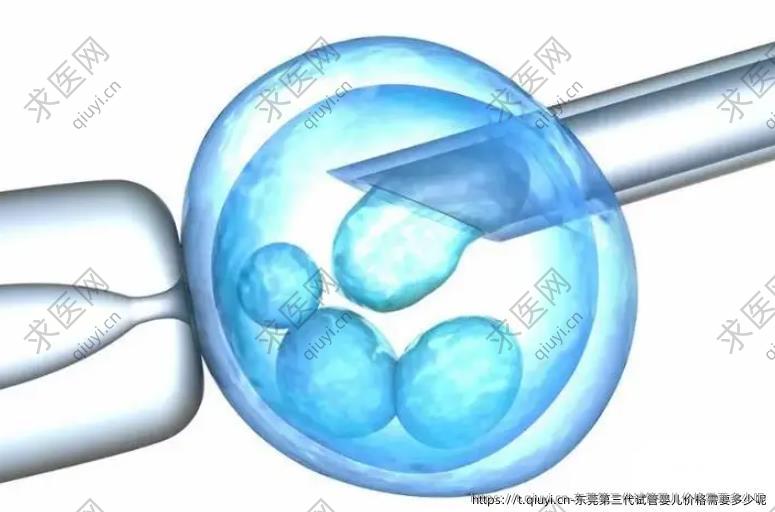 东莞第三代试管婴儿价格需要多少呢