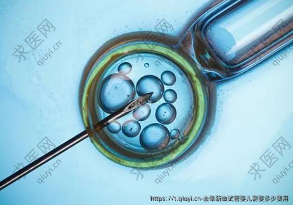 去阜新做试管婴儿需要多少费用