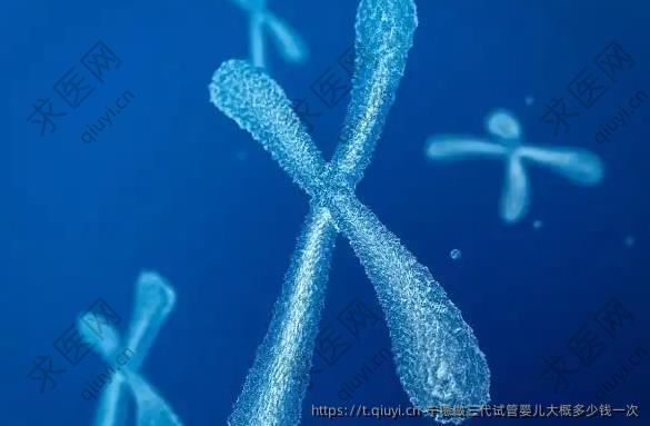 宁德做三代试管婴儿大概多少钱一次