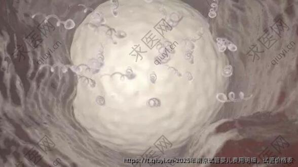 2025年南京试管婴儿费用明细，试管价格表