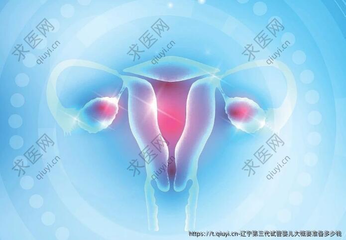 辽宁第三代试管婴儿大概要准备多少钱