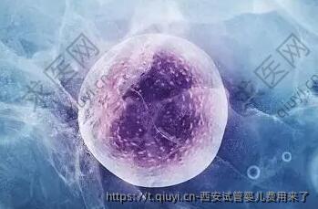 西安试管婴儿费用来了