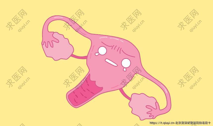 北京资深试管医院排名前十