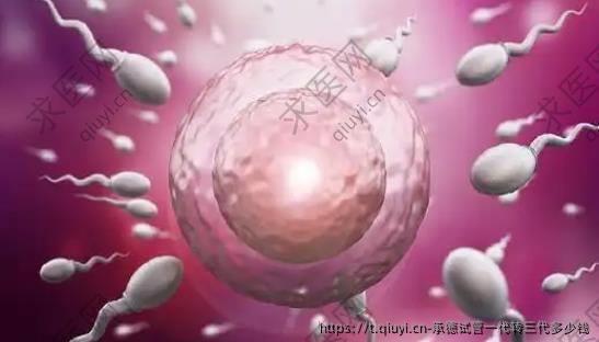 承德试管一代转三代多少钱