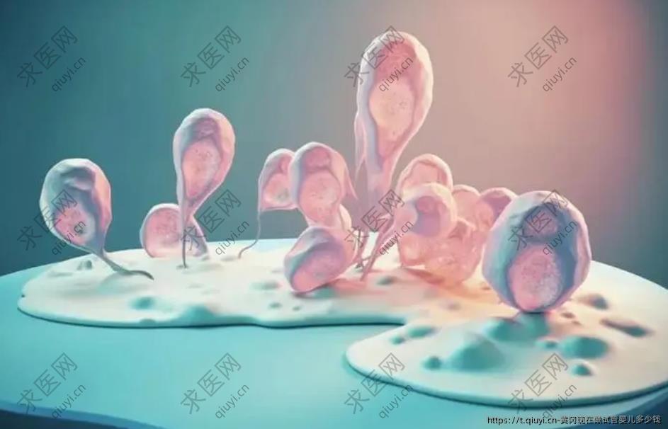 黄冈现在做试管婴儿多少钱