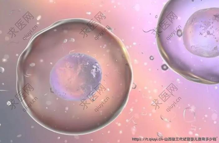 山西做三代试管婴儿费用多少钱