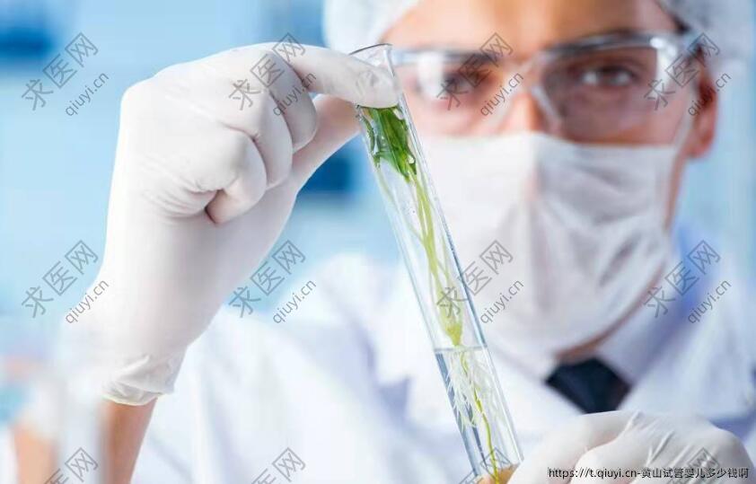 黄山试管婴儿多少钱啊