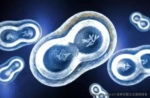 吉林试管公立医院排名