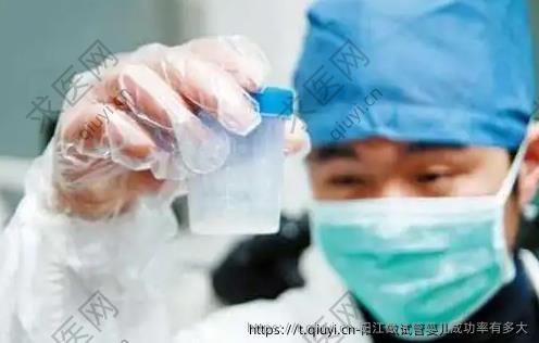 阳江做试管婴儿成功率有多大