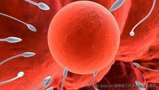 盘锦做三代试管的要求高吗