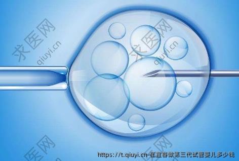 在宜春做第三代试管婴儿多少钱