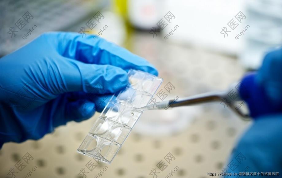 南阳排名前十的试管医院