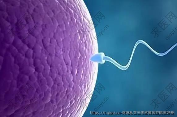 绵阳私立三代试管医院哪家好些