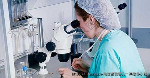 来宾试管婴儿一共要多少钱