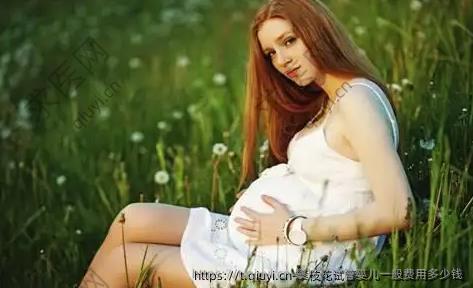 攀枝花试管婴儿一般费用多少钱