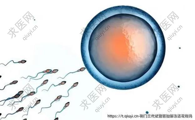 荆门三代试管胚胎解冻还花钱吗