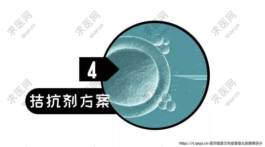 黑河做第三代试管婴儿的费用多少