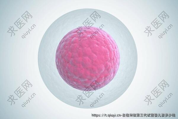 去宿州做三：代试管婴儿要多少钱