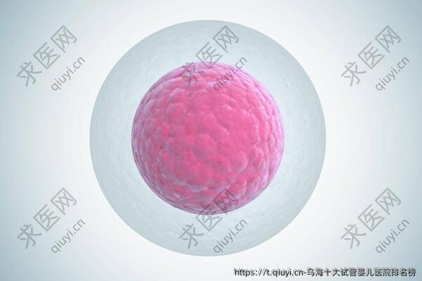 乌海十大试管婴儿医院排名榜