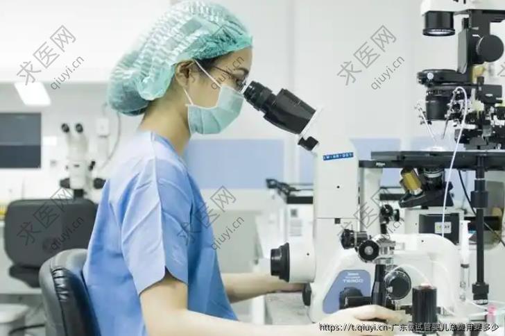 广东做试管婴儿总费用要多少
