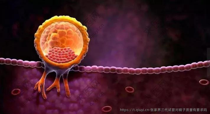 张家界三代试管对精子质量有要求吗