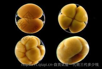 自贡试管一代转三代多少钱