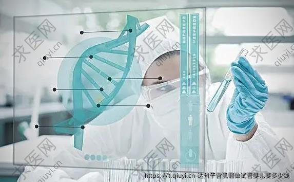 达州子宫肌瘤做试管婴儿要多少钱